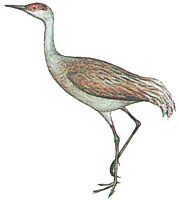 ��������� �������