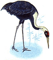 �������� �������