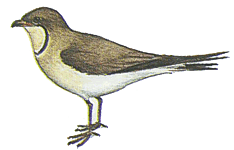 ��������� ��������