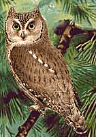 ������� �����