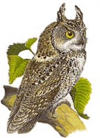 ����������� �����