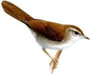 ������������� ���������