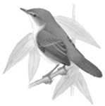 ��������� �������