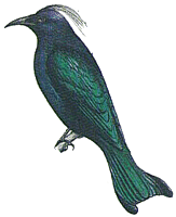 ��������� ������