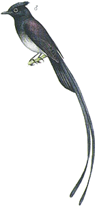 ������ ������� ���������