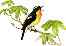 �������� ���������