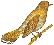 ��������� ����������