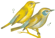 ��������� �������