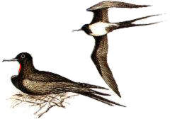 ������-������