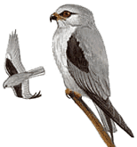 �������� ������