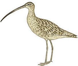 ��������������� ��������