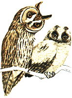 �������� ����� � ������� ������