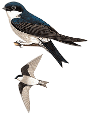 ��������� �������