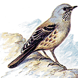 ���������� ���������