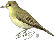 ������� ����������