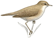 �������� ����������