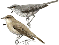 ���������� ������