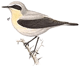 ������������ �������