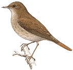 ������������ �������