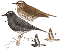 ��������� �����