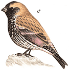 ��������� ������