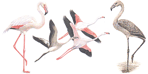 �������� (�������) � ������� (�����) �����