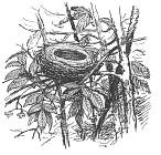 ������������ ������ (�� �������, 1996)