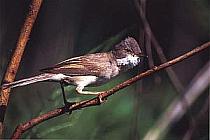 ����� ������. ���� �. ��������