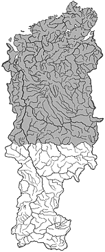 ��������������� ����