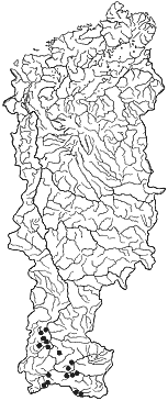 ��������������� ����