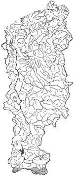 ��������������� ����