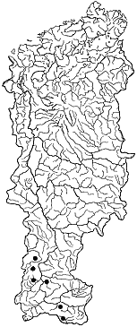 ��������������� ����