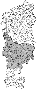 ��������������� ����