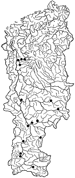 ��������������� ����