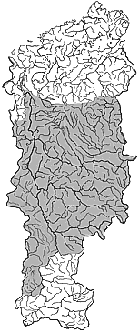 ��������������� ����