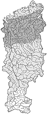 ��������������� ����