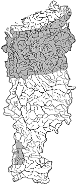 ��������������� ����