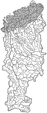 ��������������� ����