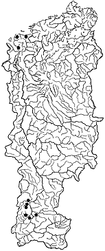 ��������������� ����