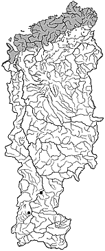 ��������������� ����