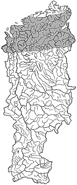 ��������������� ����