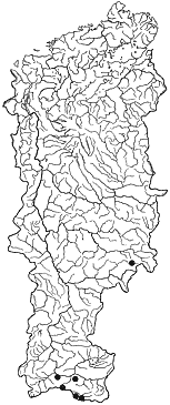 ��������������� ����