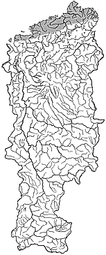 ��������������� ����