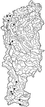 ��������������� ����