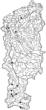 ��������������� ����