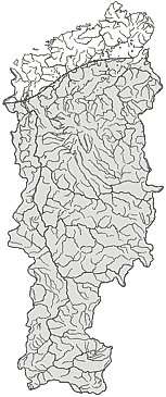 ��������������� ����