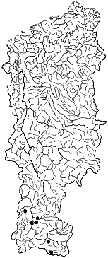 ��������������� ����