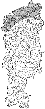 ��������������� ����