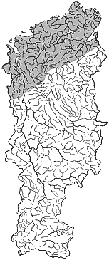 ��������������� ����