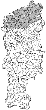 ��������������� ����